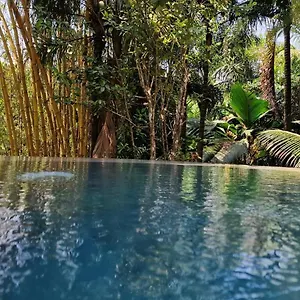 A Peace In Paradise Chalet